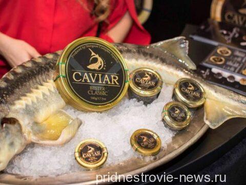 Aquatir Caviar