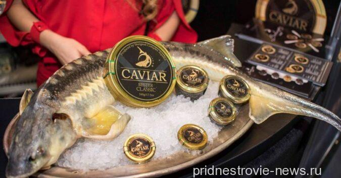 Aquatir Caviar